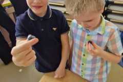 IMG-20250611-WA0004
