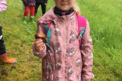IQLL4102