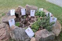 IMG-20250520-WA0012