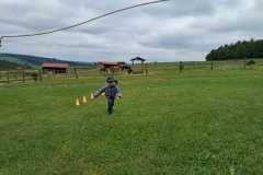 IMG-20250520-WA0029