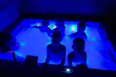 IMG-20250522-WA0051