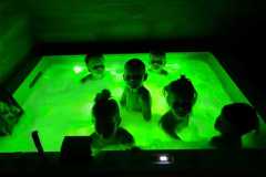 IMG-20250522-WA0053