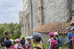 IMG_8887
