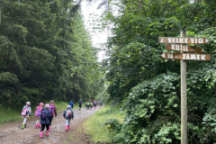 IMG_8537