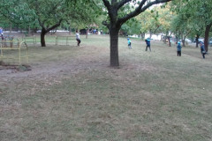 DSC00038