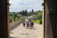 IMG_8252