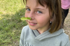 IMG_8329-1