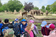 IMG20240516104232