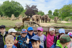 IMG20240516104241