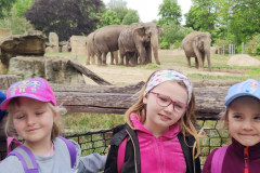 IMG20240516104401