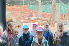 IMG20240516112645