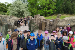 IMG20240516130437