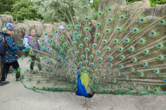 IMG20240516130553
