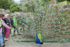 IMG20240516130555