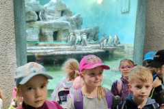 IMG20240516131539
